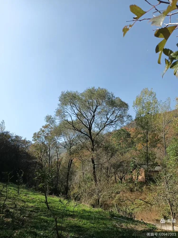 绛县紫家峪印象